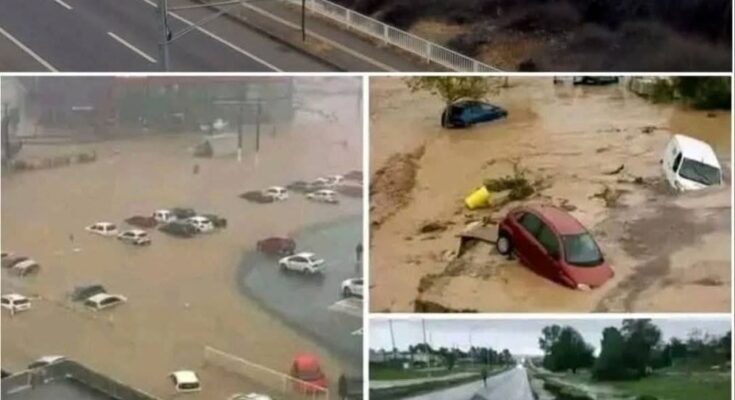 magnitude earthquake also causes a large Tidal in the city of…See more