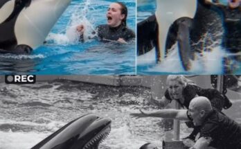 THE LAST MOMENTS TURNING INTO HORROR: Jessica Radcliffe’s Final Performance Shocks the World – lbs