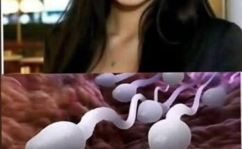 Estudios revelan que tragarse el semen de tu pareja… Leer más